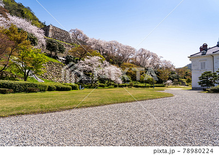 鳥取県鳥取市 仁風閣と春の鳥取城の石段と石垣の写真素材