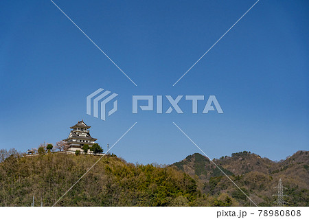 鳥取県鳥取市　春のお城山展望台の河原城 78980808