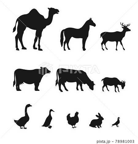 Farm Animal Logo Design Vector Farm Animal Logo Design Vector 78981003