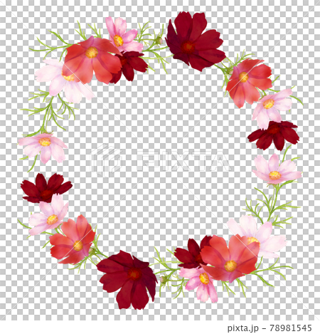 水彩の秋桜のリース 78981545