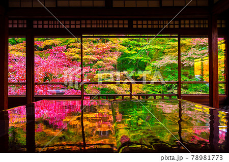 瑠璃光院の紅葉と写り込み 78981773