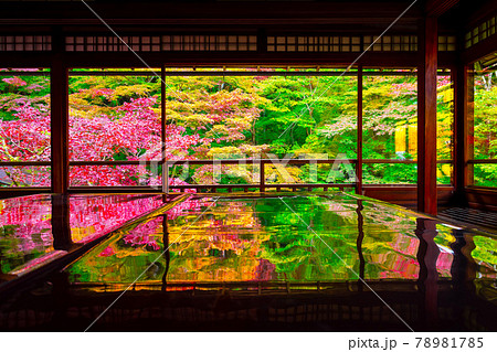 瑠璃光院の紅葉と写り込み 78981785