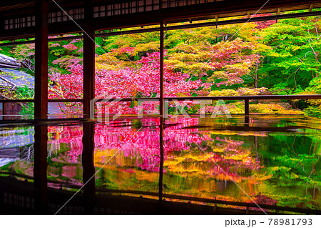 瑠璃光院の紅葉と写り込み 瑠璃光院の紅葉と写り込み 78981793
