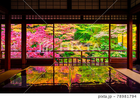 瑠璃光院の紅葉と写り込み 78981794