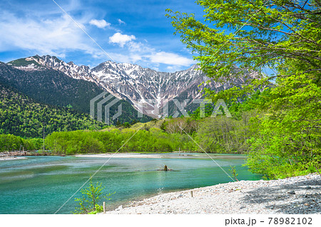 《長野県》新緑の上高地・大正池 78982102