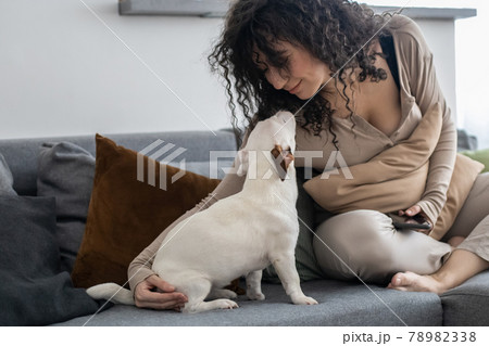 Young curly woman chatting surfing internet use smartphone on couch with dog Jack Russell Terrier 78982338