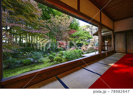 京都大原 宝泉院 盤桓園(ばんかんえん) 京都大原 宝泉院 盤桓園(ばんかんえん) 78982647