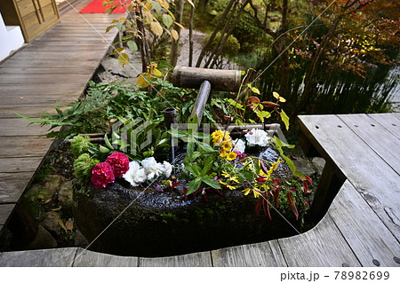 京都大原 宝泉院 花に溢れるつくばい 京都大原 宝泉院 花に溢れるつくばい 78982699