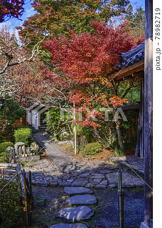 京都大原 宝泉院の紅葉 京都大原 宝泉院の紅葉 78982719