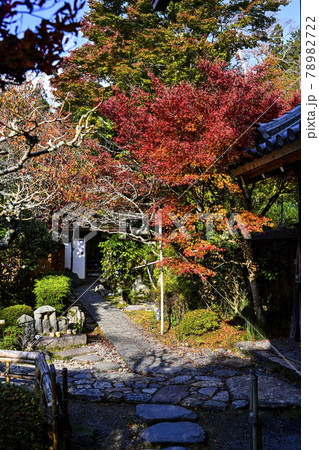 京都大原 宝泉院の紅葉 京都大原 宝泉院の紅葉 78982722