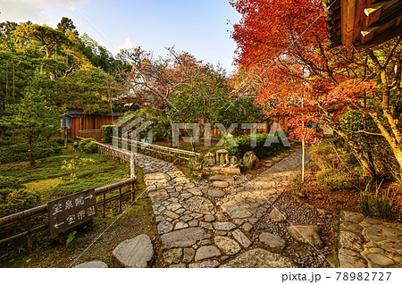 京都大原　宝泉院　境内 78982727