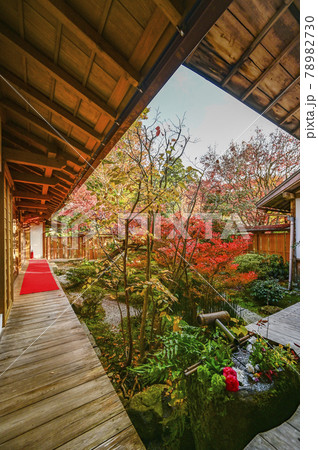 京都大原 宝泉院 鶴亀庭園 京都大原 宝泉院 鶴亀庭園 78982730