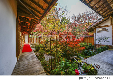 京都大原 宝泉院 鶴亀庭園 京都大原 宝泉院 鶴亀庭園 78982731