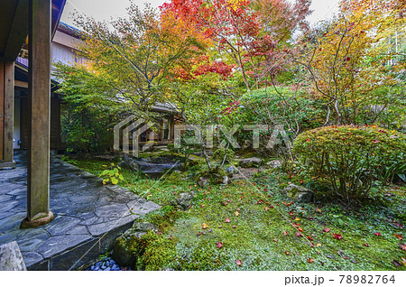 京都大原 宝泉院の紅葉 京都大原 宝泉院の紅葉 78982764