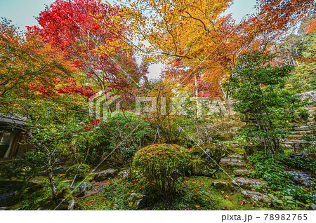京都大原 宝泉院の紅葉 京都大原 宝泉院の紅葉 78982765