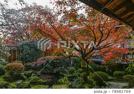 京都大原 宝泉院 鶴亀庭園 京都大原 宝泉院 鶴亀庭園 78982769