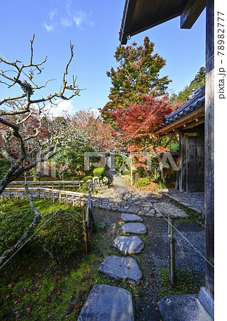 京都大原 宝泉院の紅葉 京都大原 宝泉院の紅葉 78982777