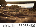 接写で海の水面と海岸の砂浜が光る 78983486