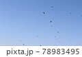 海鳥の群れが空に作る鳥の柱 78983495