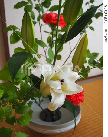生け花 作品 生け花 作品 78983846