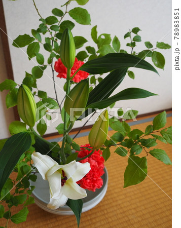 生け花 作品 生け花 作品 78983851