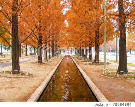 秋の公園の風景 78984894