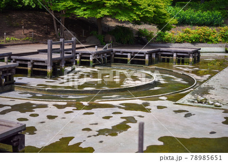 池の水全部抜く 池の水全部抜く 78985651