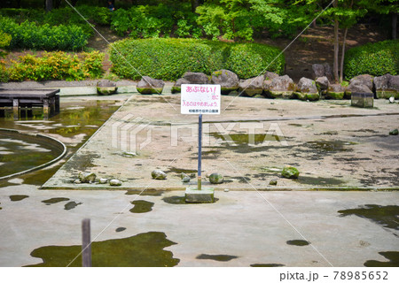 池の水全部抜く 78985652