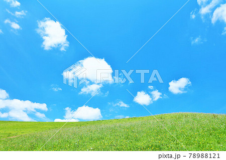 爽やかな夏の青空と新緑の高原風景 爽やかな夏の青空と新緑の高原風景 78988121