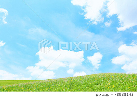 爽やかな夏の青空と新緑の高原風景 爽やかな夏の青空と新緑の高原風景 78988143
