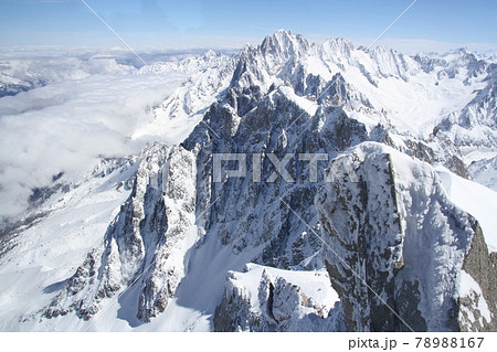 モンブラン	 78988167