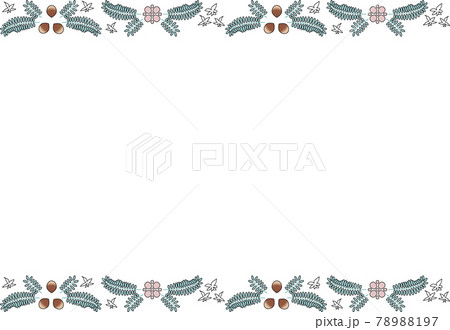 シダやシイの実の奄美植物背景のテンプレート シダやシイの実の奄美植物背景のテンプレート 78988197