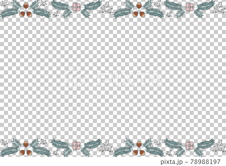 シダやシイの実の奄美植物背景のテンプレート シダやシイの実の奄美植物背景のテンプレート 78988197