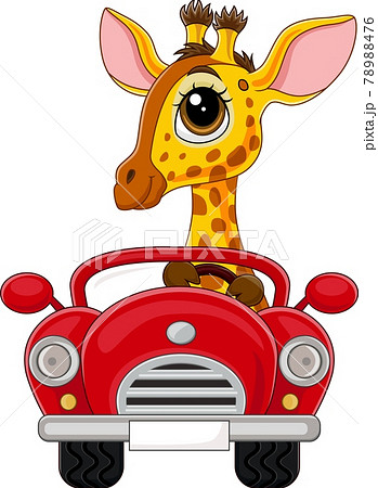 Cartoon baby giraffe driving red car Cartoon baby giraffe driving red car 78988476