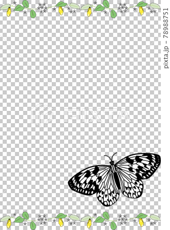 Kikaijima background template vertical by large tree nymph Kikaijima background template vertical by large tree nymph 78988751