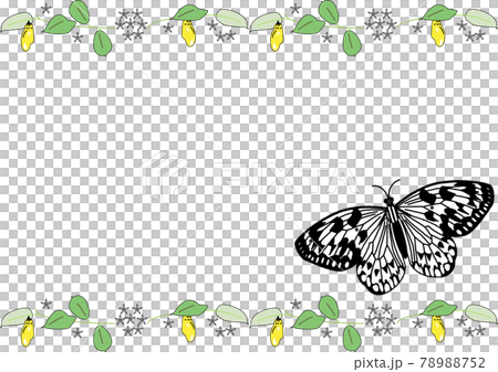 Kikaijima background template by large tree nymph Kikaijima background template by large tree nymph 78988752