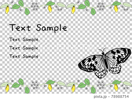 Kikaijima background template by large tree nymph with text sample Kikaijima background template by large tree nymph with text sample 78988754