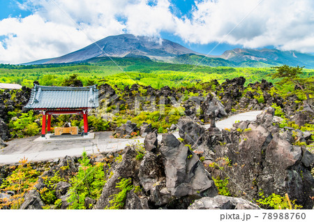 群馬県嬬恋村 鬼押出し園 溶岩と浅間山 群馬県嬬恋村 鬼押出し園 溶岩と浅間山 78988760