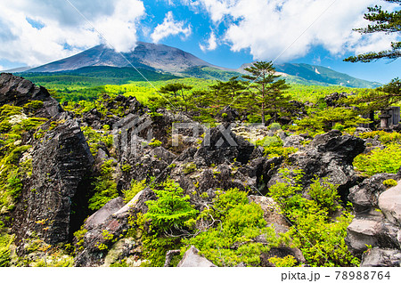 群馬県嬬恋村 鬼押出し園　溶岩と浅間山 78988764