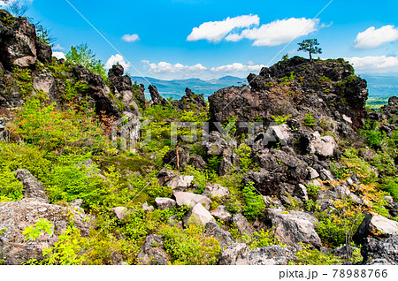 群馬県嬬恋村 鬼押出し園 群馬県嬬恋村 鬼押出し園 78988766