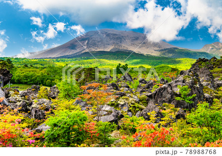 群馬県嬬恋村 鬼押出し園 溶岩と浅間山 群馬県嬬恋村 鬼押出し園 溶岩と浅間山 78988768