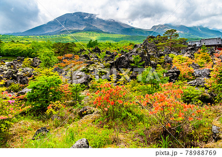 群馬県嬬恋村 鬼押出し園　溶岩と浅間山 78988769