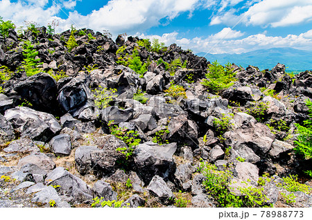群馬県嬬恋村 鬼押出し園 群馬県嬬恋村 鬼押出し園 78988773
