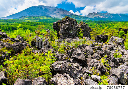 群馬県嬬恋村 鬼押出し園　溶岩と浅間山 78988777