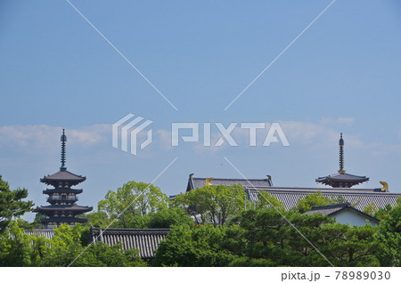 古都奈良の世界遺産 薬師寺 全面解体修理後の東塔を入れて 古都奈良の世界遺産 薬師寺 全面解体修理後の東塔を入れて 78989030