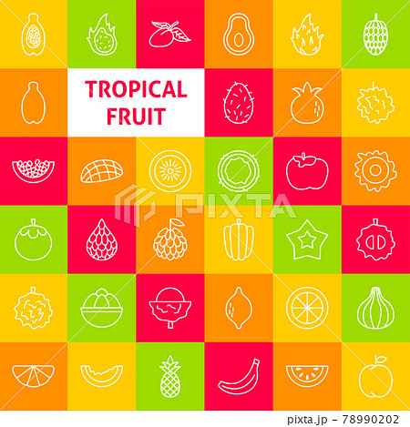 Tropical Fruit Line Icons Tropical Fruit Line Icons 78990202