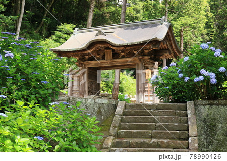 月照寺　3 78990426