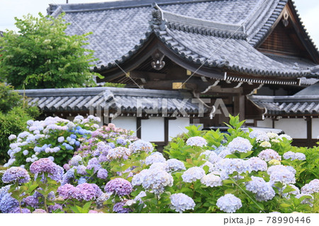 月照寺 23 月照寺 23 78990446