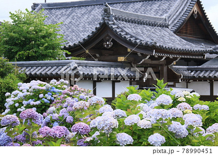 月照寺　28 78990451