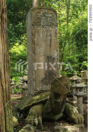 月照寺 37 月照寺 37 78990460
